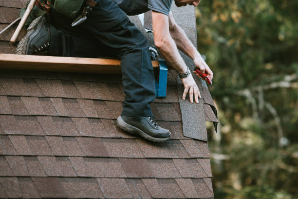 Best Local Roofing Companies  in Maplewood, WA